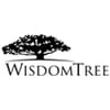 Wisdomtree Us Ai Enhanced Value Fund logo