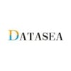 Datasea Inc logo