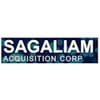 Sagaliam Acquisition Corp logo