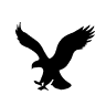 American Eagle Outfitters, Inc. logo