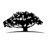 Wisdomtree International Largecp Div Etf logo