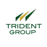 Trident Ltd logo
