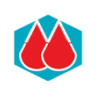 Mysore Petro Chemicals Ltd share price logo