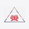 Premier Polyfilm Ltd logo