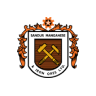 Sandur Manganese & Iron Ores Ltd share price logo