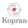 Kopran Ltd share price logo