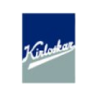 Kirloskar Electric Company Ltd share price logo