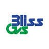 Bliss GVS Pharma Ltd stock icon
