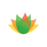 Vishnu Chemicals Ltd share price logo