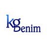 K G Denim Ltd share price logo