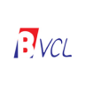 Barak Valley Cements Ltd share price logo