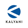 Kalyani Investment Company Ltd share price logo