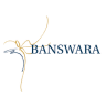 Banswara Syntex Ltd share price logo