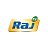 Raj Television Network Ltd Results