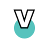 Vinny Overseas Ltd logo