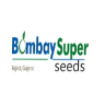 Bombay Super Hybrid Seeds Ltd share price logo