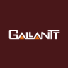 Gallantt Ispat Ltd. share price logo