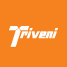 Triveni Turbine Ltd share price logo