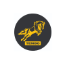 Tembo Global Industries Ltd logo