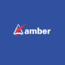 Amber Enterprises India Ltd Ordinary Shares