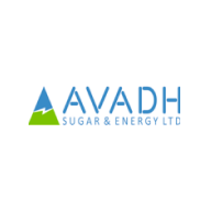 Avadh Sugar & Energy Ltd share price logo