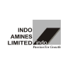 Indo Amines Ltd share price logo