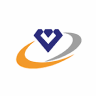 Vaibhav Global Ltd share price logo