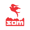 Som Distilleries & Breweries Ltd share price logo