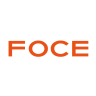 Foce India Ltd share price logo