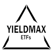 YieldMax MSFT Option Income Strategy ETF
