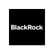 Blackrock Municipal Target Term Closed Fund