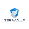 Terawulf Inc